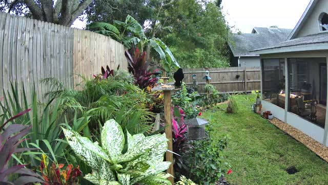 The yard on Wednesday at 11:22 AM: crow heard